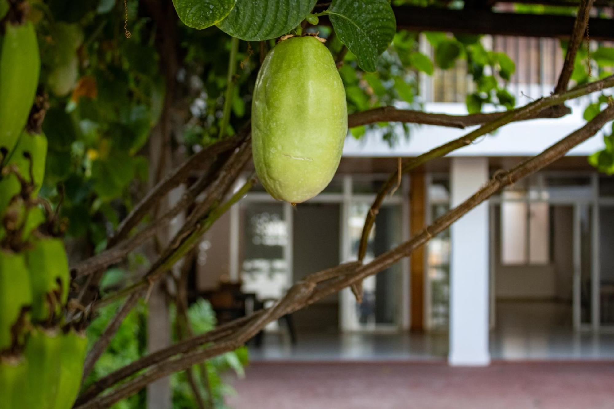 Volcano Hostal Y Restaurante Σαν Σαλβαντόρ Εξωτερικό φωτογραφία